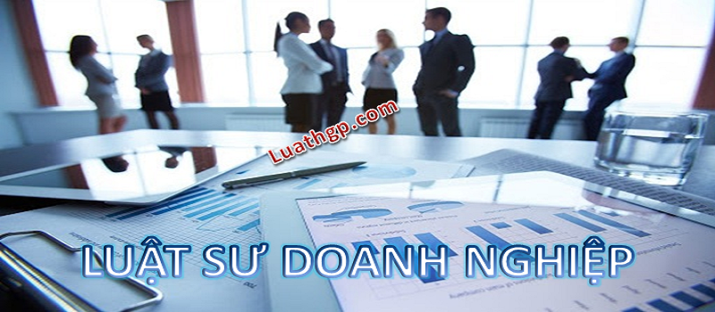 Cong-ty-luat-HGP-la-don-vi-tu-van-phap-ly-uy -tin-chuyen-nghiep