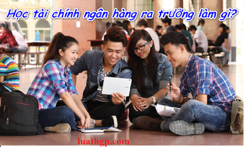 Học tài chính ngân hàng ra làm gì