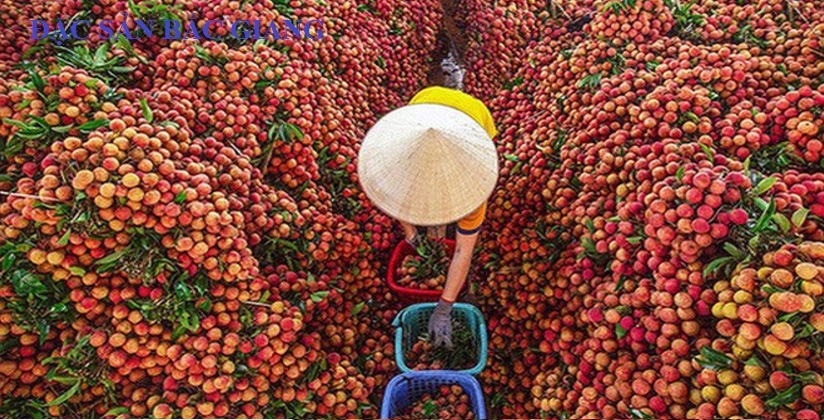 Top 15 món đặc sản Bắc Giang